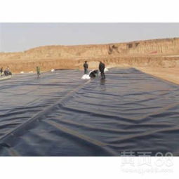 太仆寺旗防滲土工膜、土工布 貨到付款，規(guī)格型號齊全，實時報價解析